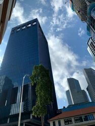 The M (D7), Retail #464483651